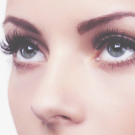 Your Complete Lash Guide